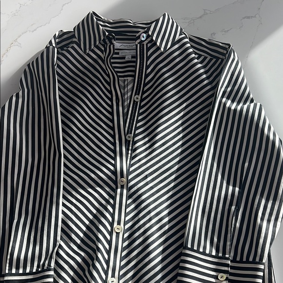 Foxcroft Tops - Foxcroft Black and White Button Down Shirt with Diagonal Stripes